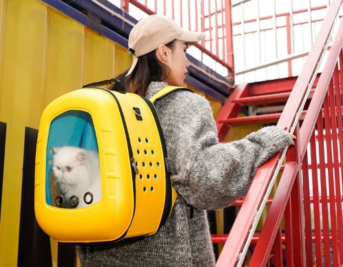 EVA Pet Cat Carrying Bag Space Capsule Backpacks Breathable Portable Transparent Double Shoulder Large Bags for Cats Dogs